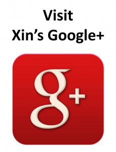Google plus Xin Networks