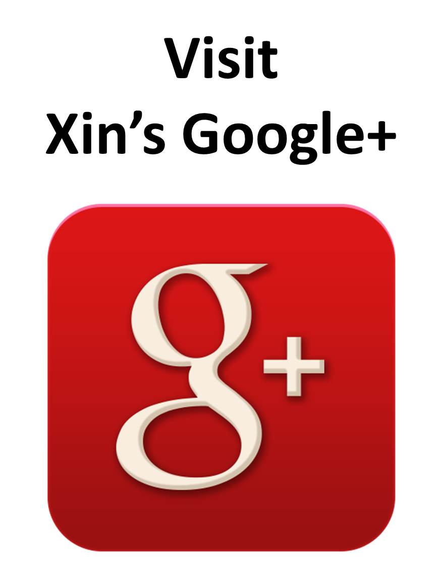 Google plus Xin Networks